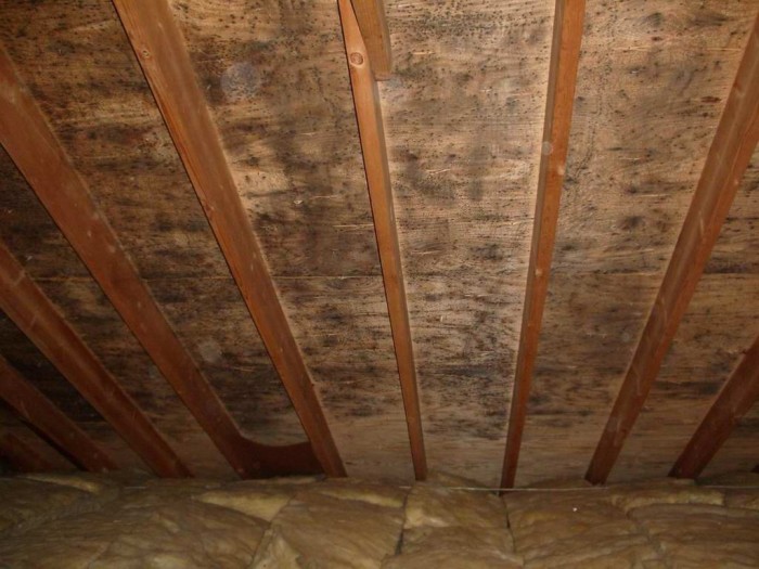 mold in attic time to replace roof