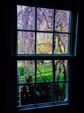 Image showing replacement windows being installed in North Anover