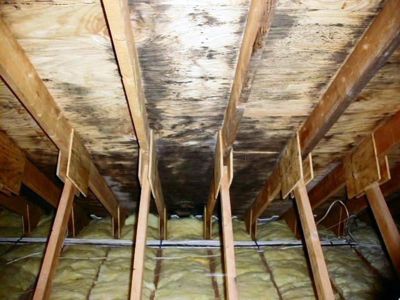Mold in Attic Roof Needs to be Replaced