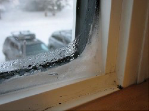 icy windows in winter