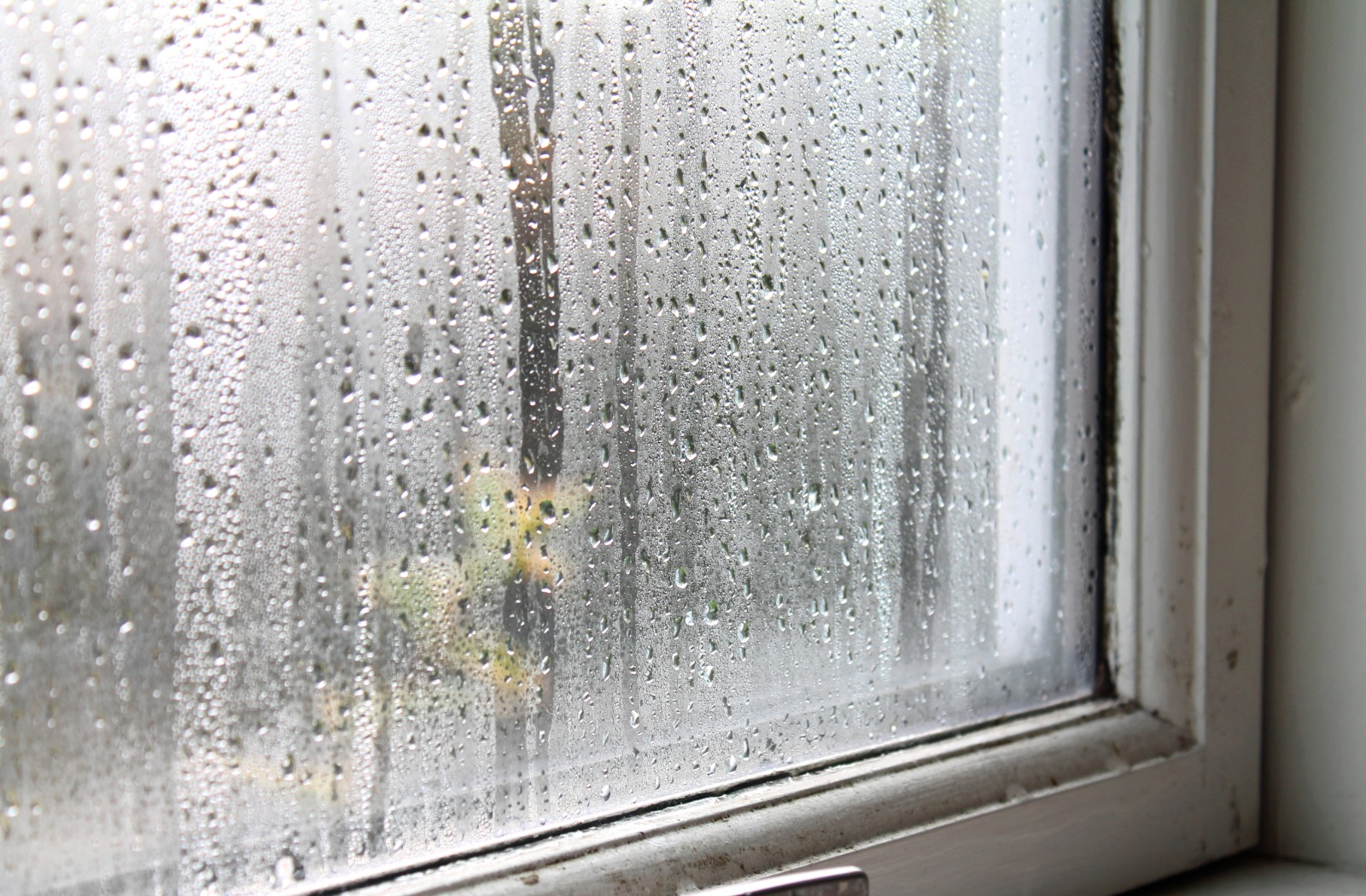 Clear replacement windows provide improved insulation that helps reduce condensation on windows and maintain comfortable indoor temperatures. Energy-efficient glass minimizes moisture buildup while enhancing natural light and exterior views.