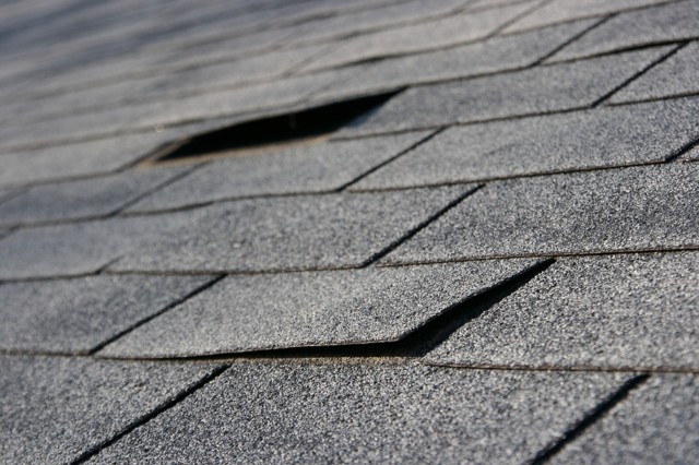 damaged roof shingles