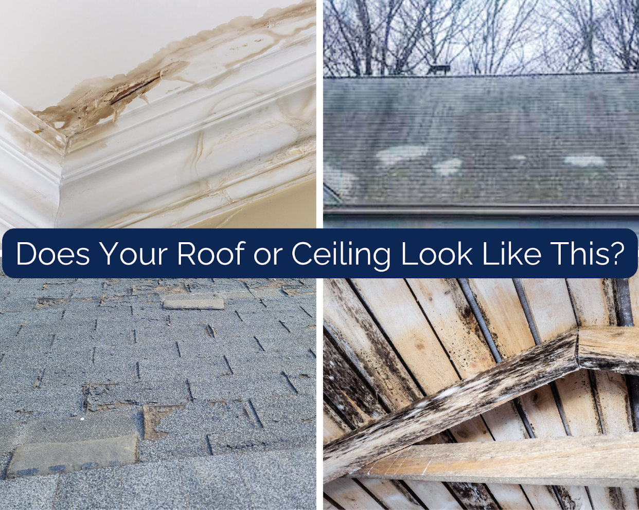 A collage reveals a damaged ceiling with water stains, a roof missing discolored shingles, and an interior ceiling marred by mold and rot. Text reads, Does Your Roof or Ceiling Look Like This? Consider spring home maintenance to prevent these issues.