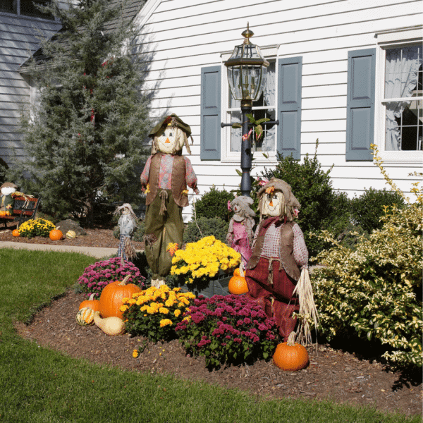 vinyl siding replacement