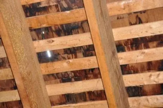 daylight in attic roof boards