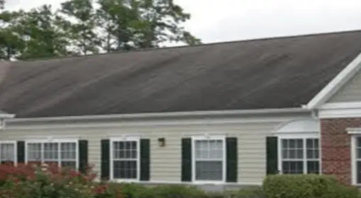 roof staining