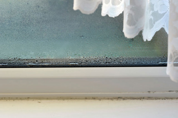 windows with mold and mildew growth