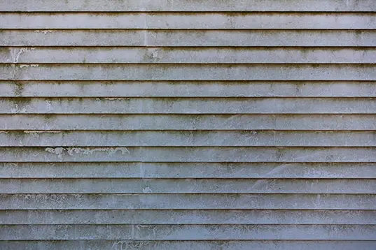 moldy siding