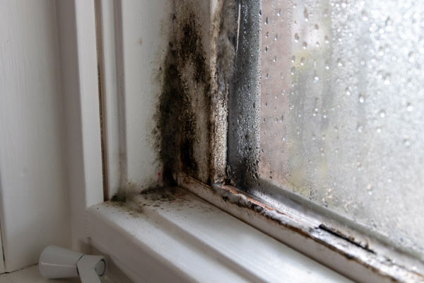 window leak moisture damage