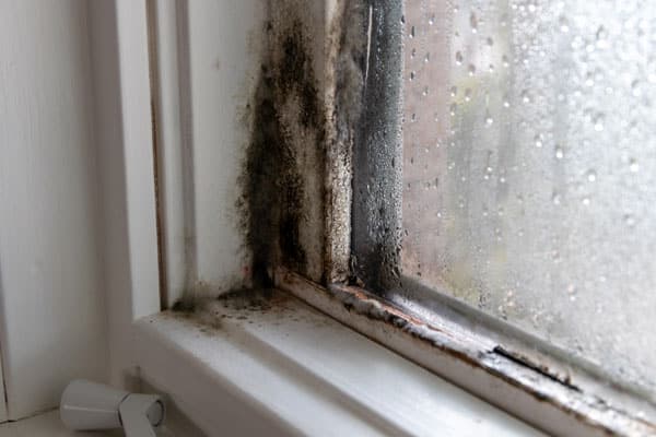 My Windows Are Leaking Water