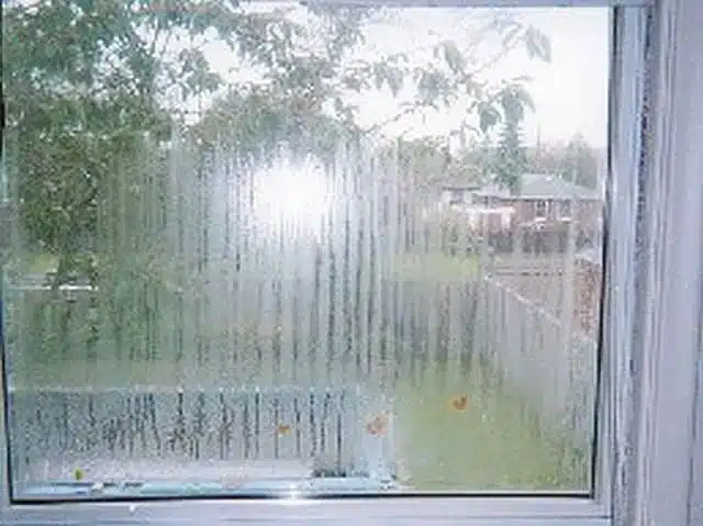 Heavy condensation covers the interior surface of a window and limits the view of the yard outside. When homeowners ask why do windows get foggy in summer, high humidity, cooler indoor temperatures, and failed window seals are often important contributing factors.