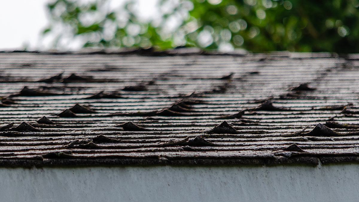 Inspect a Roof in the Summer
