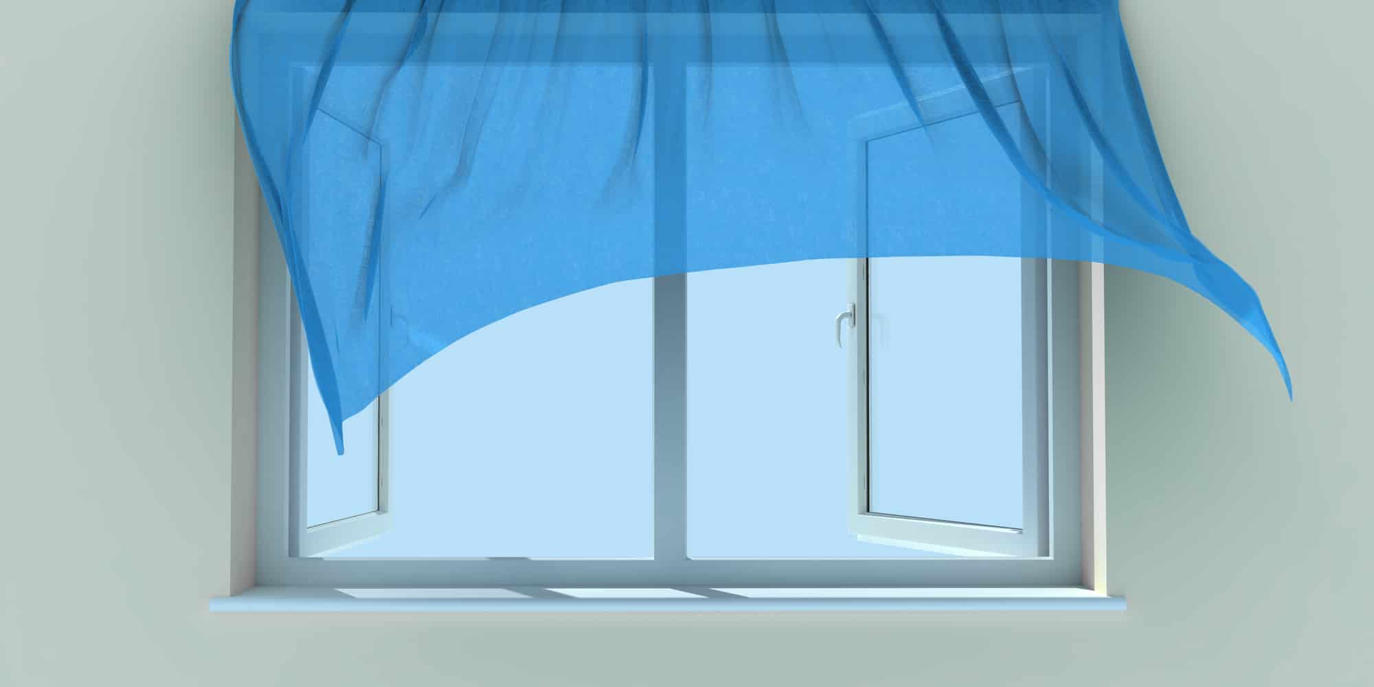Window and curtain