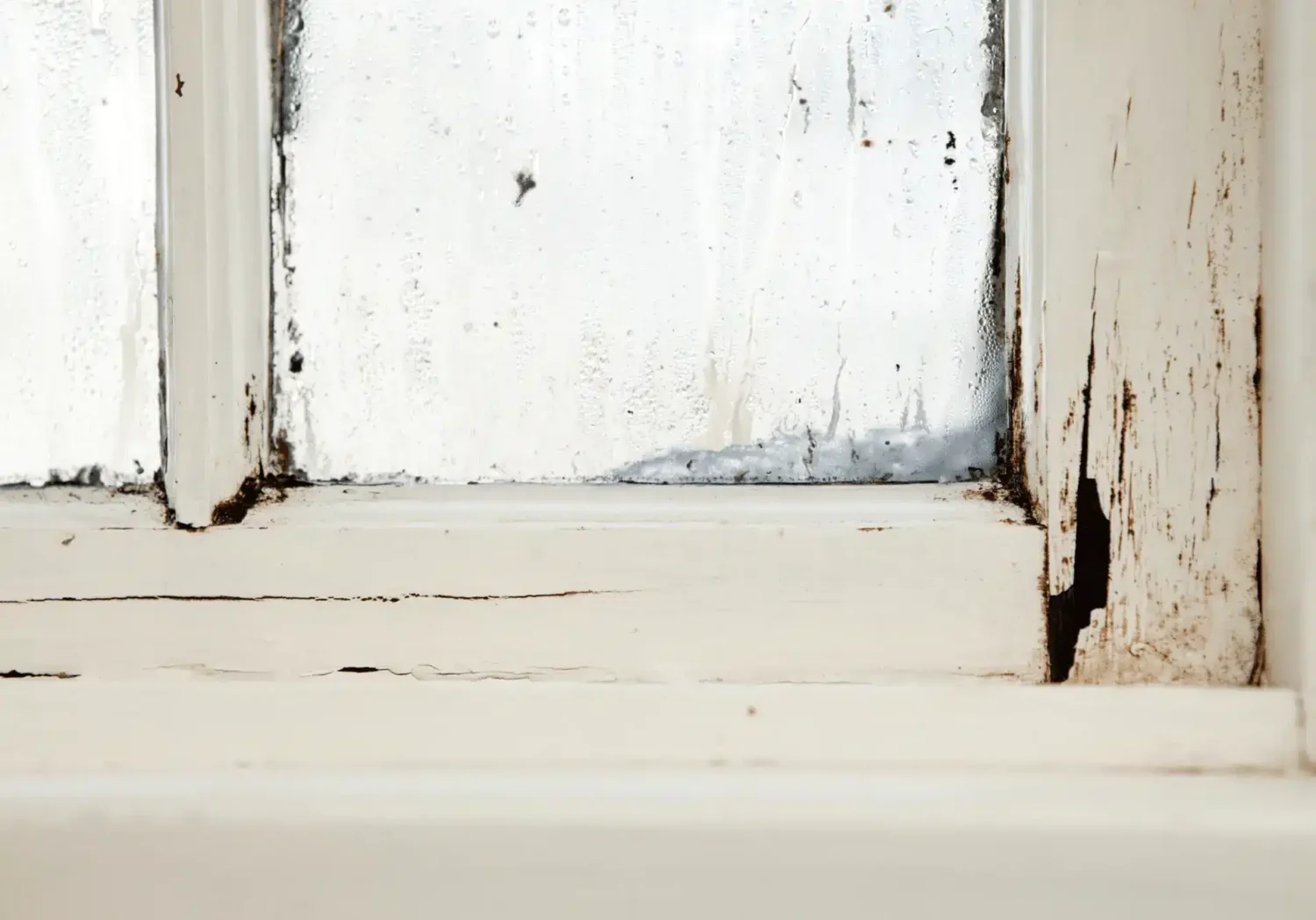 Rotted, cracked wood window frame with condensation and mold, a fall window maintenance warning sign in Danvers, North Shore.