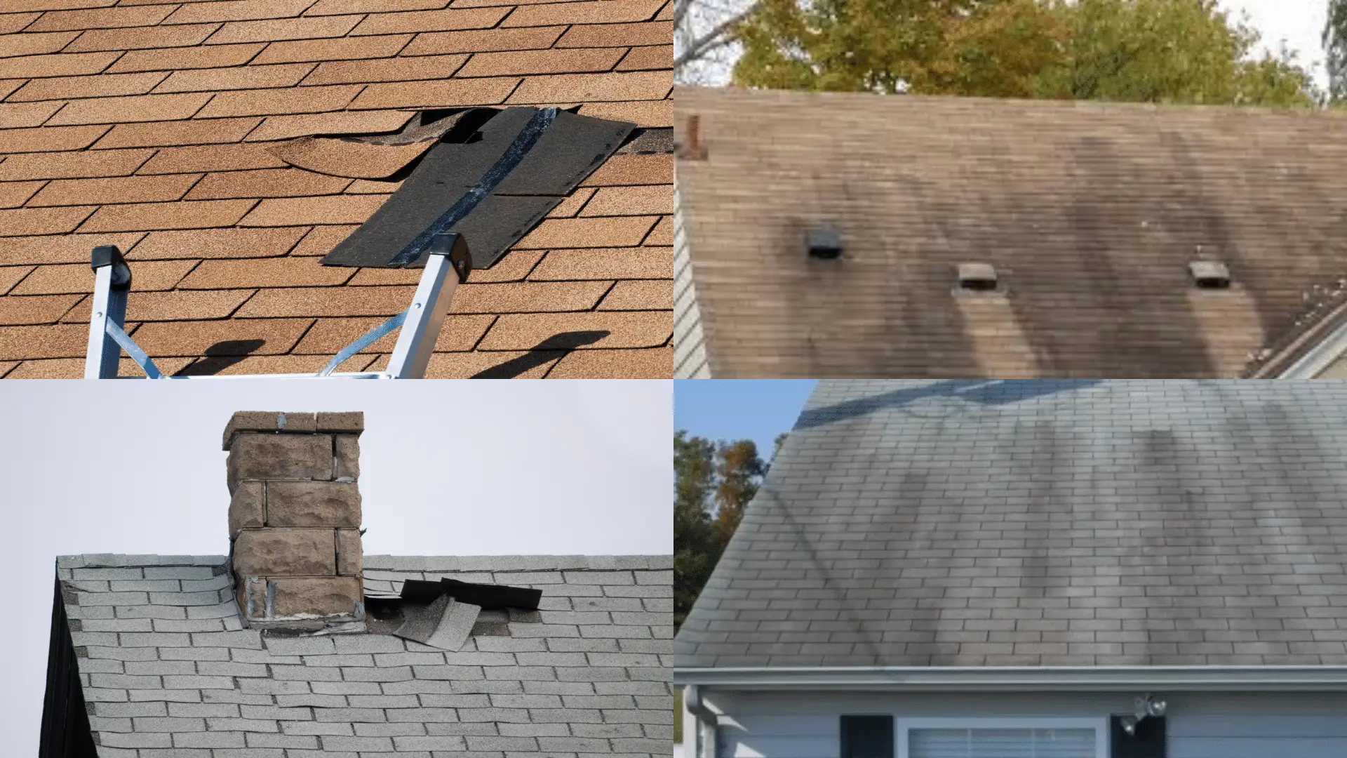 roofing red flags