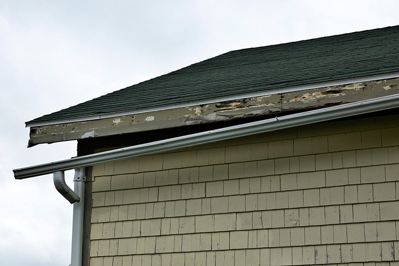 Rotted fascia boards and a sagging metal gutter pull away from the roof edge above green shingle siding. Clogged, overflowing gutters like these are why gutter care tops our ultimate fall home maintenance checklist.