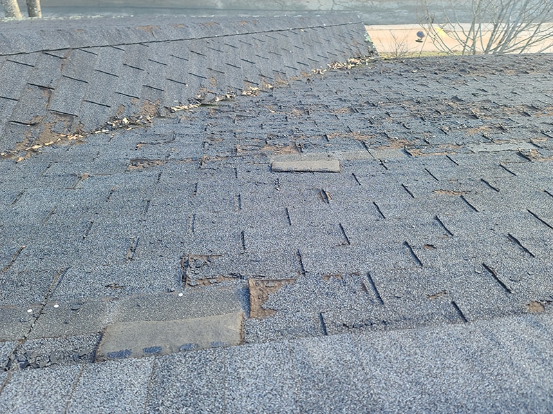 Close-up view of a worn asphalt roof with missing tabs, loose shingles, and exposed patches scattered across the surface. Spotting damage like this early is a key step in the ultimate fall home maintenance checklist.