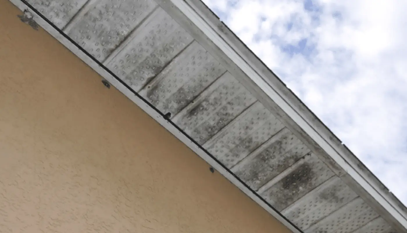 Mold and mildew growing on the soffit and gutter line of a Lynnfield, North Shore home, a sign of trapped roof moisture.