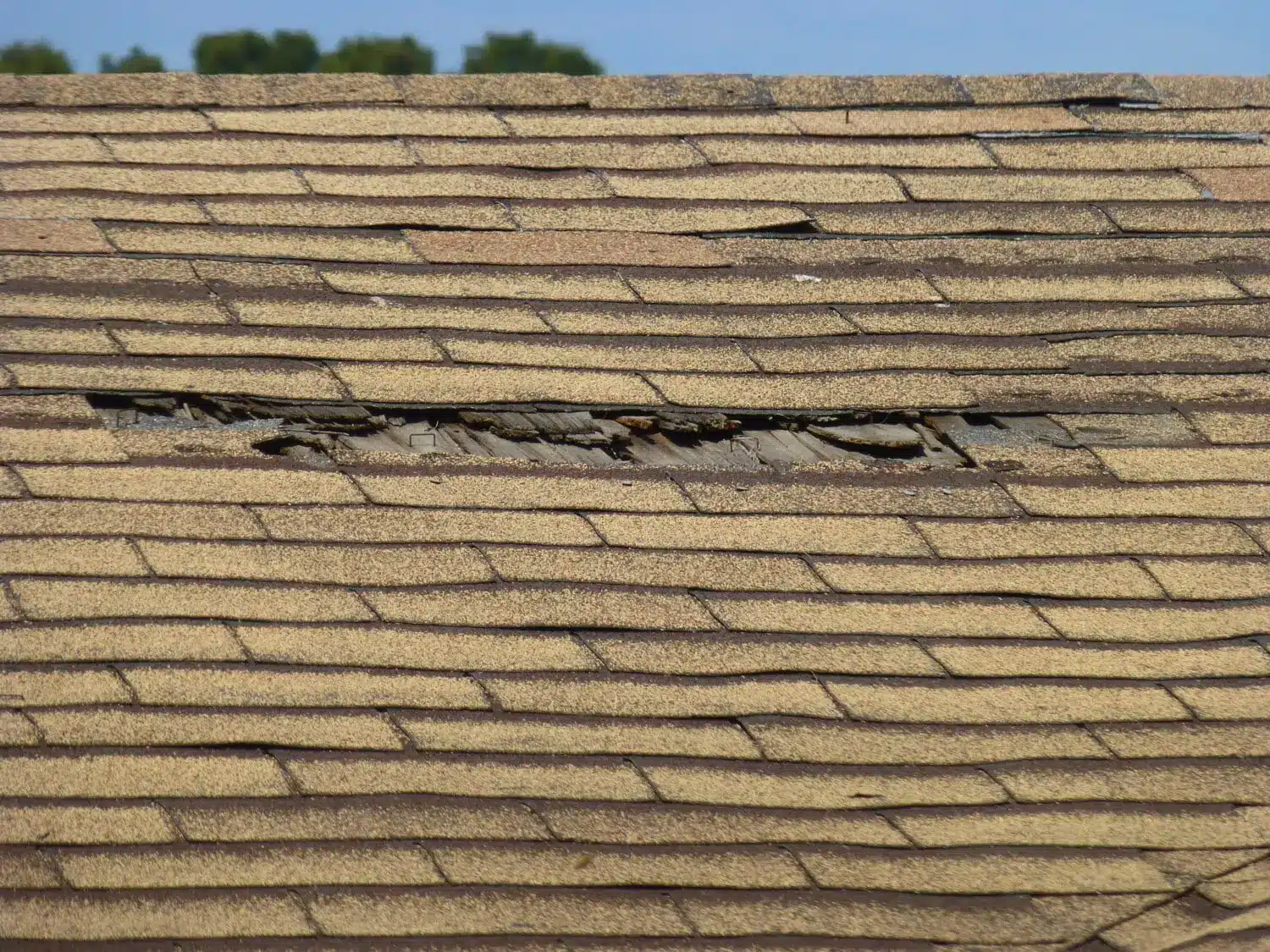 Cracked and missing asphalt shingles leaving a gap in the roof of a Worcester, Central Mass home after fall winds.