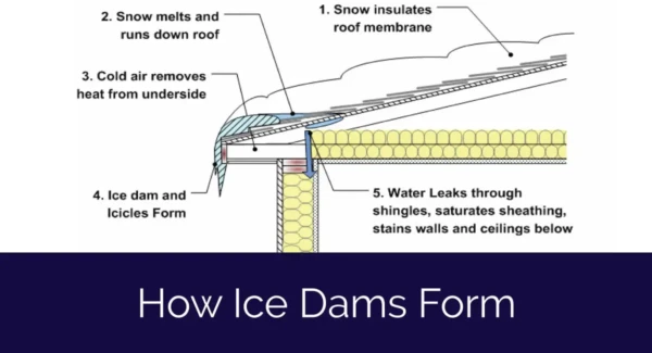 Diagram illustrating the formation of ice dams on roofs. Labeled steps detail how snow melts, cold air removes heat, leading to ice dam and icicle formation, and water leaks through shingles. Text at the bottom reads, How Ice Dams Form.