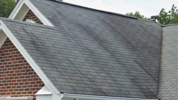 A house with a steeply pitched roof features dark gray asphalt shingles, slightly accented by algae on the surface, surrounded by lush trees. One chimney is visible, and a brick wall forms part of the structure beneath the roof.