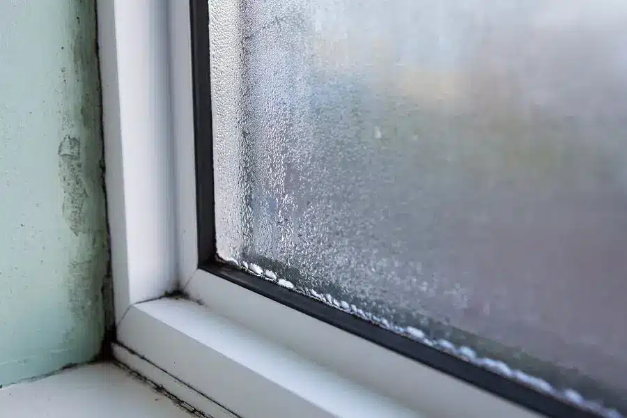 Close-up of a frosted window showing condensation on the glass, hinting at when to replace your windows. The white window frame contrasts with the adjacent wall on the left side, where paint is slightly peeling.
