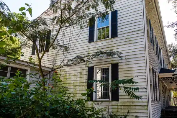 Mold and mildew on the side of an old wood siding home