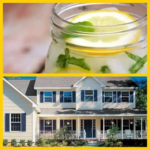 Collage of two images: the top reveals a mason jar with lemon slices, mint leaves, and ice—radiating the colors of summer; the bottom displays a sunlit two-story house with a porch, blue shutters, and surrounded by trees.