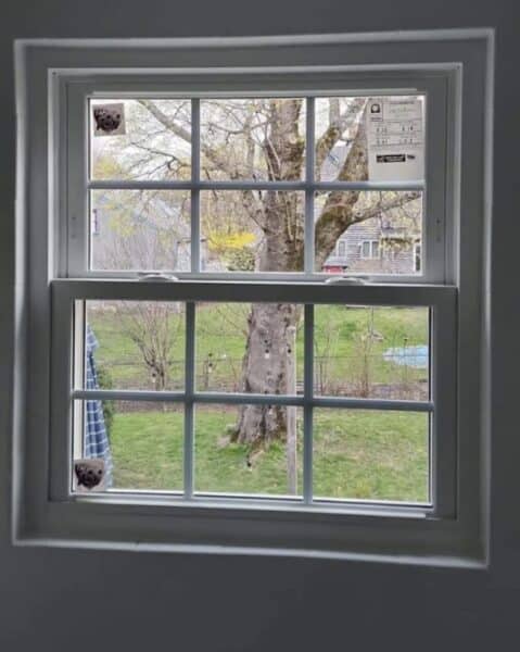 energy efficient windows in Massachusetts