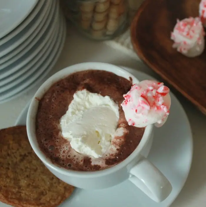 A cup of hot chocolate from a Hot Chocolate Bar, topped with whipped cream, sits on a white saucer with a cookie beside it. A spoon with a peppermint-topped dollop of whipped cream rests nearby—perfect for everyone, even a child.