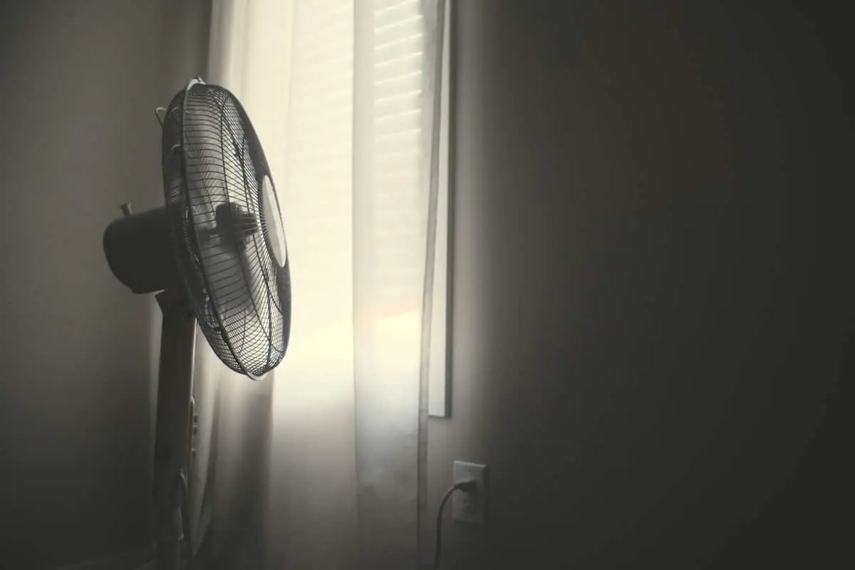 hot fan