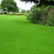 lawn care program
