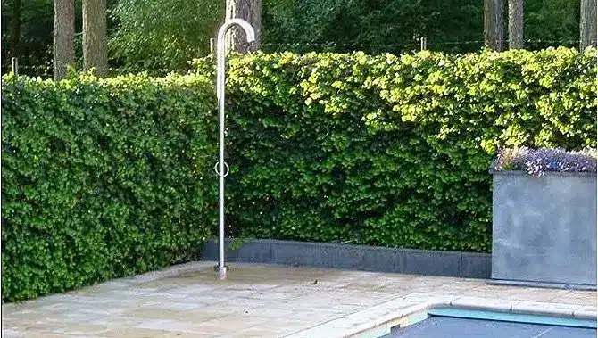 The fabulous outdoor pool area features a functional metal showerhead beside a vibrant green hedge. Light stone tiles pave the space, adjacent to the shimmering swimming pool, all enveloped by majestic tall trees.