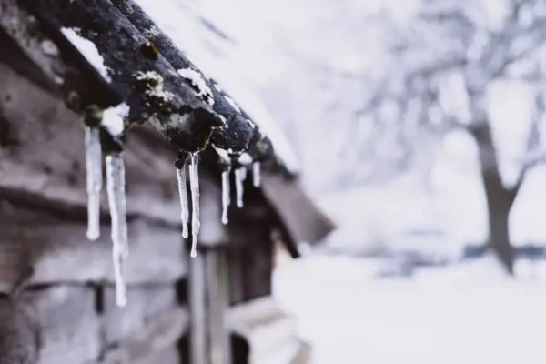 Close-up of icicles hanging from the edge of a snow-covered wooden roof, showcasing classic roofing in New England. The background reveals blurred trees and a snowy landscape, creating a cold and wintry atmosphere.