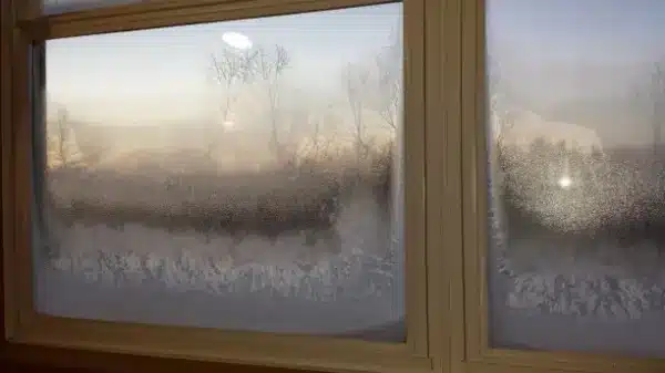 Frost-covered window panes with a view of bare trees against a pale dawn sky. Light from the rising sun casts a soft glow through the frosted glass, highlighting subtle imperfections that hint at seal failures in windows.