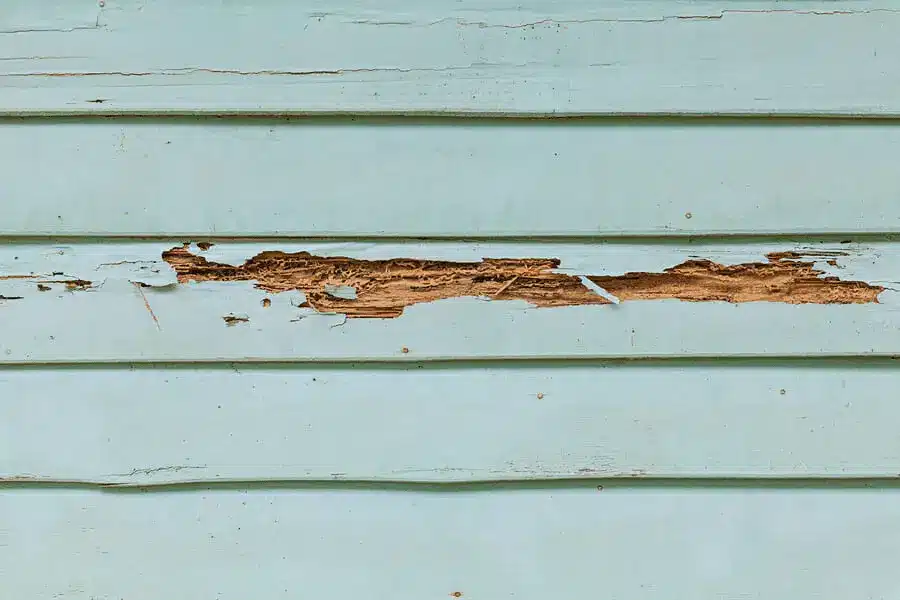 vinyl siding replacement in ma 