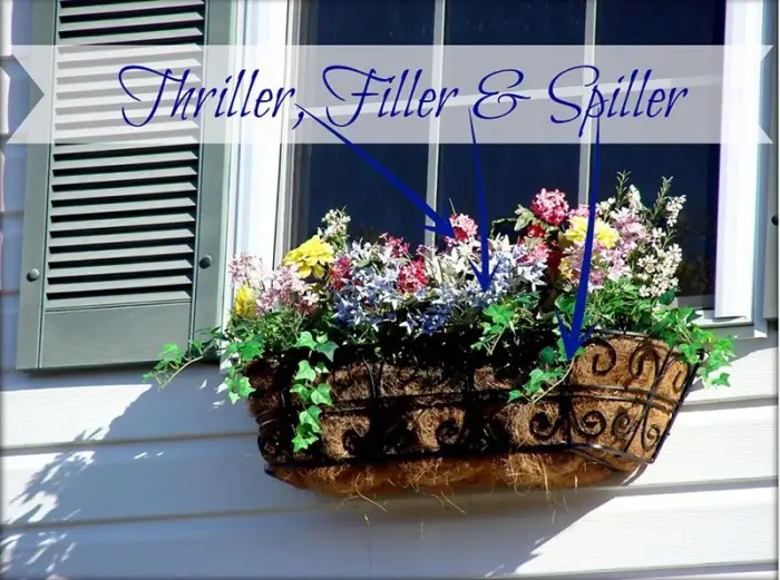 A window box planter with various flowers labeled Thriller, Filler & Spiller; the plants spill over the edge and fill the basket, boosting curb appeal beneath a window with blue shutters.