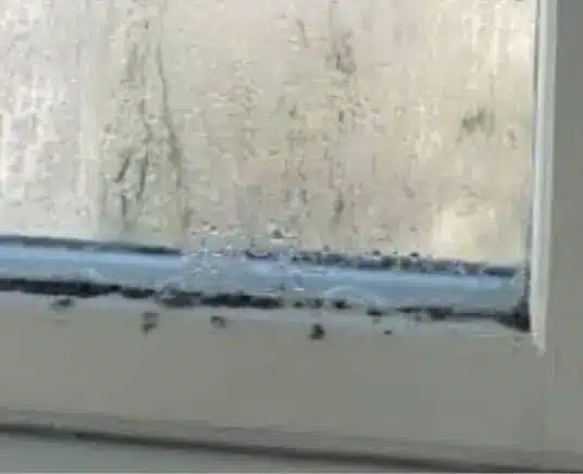 window mold