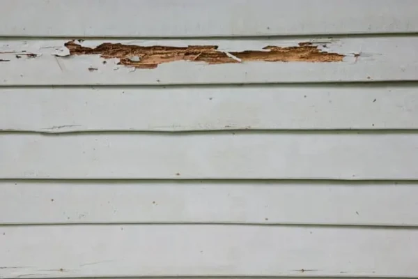 maintaining vinyl siding 