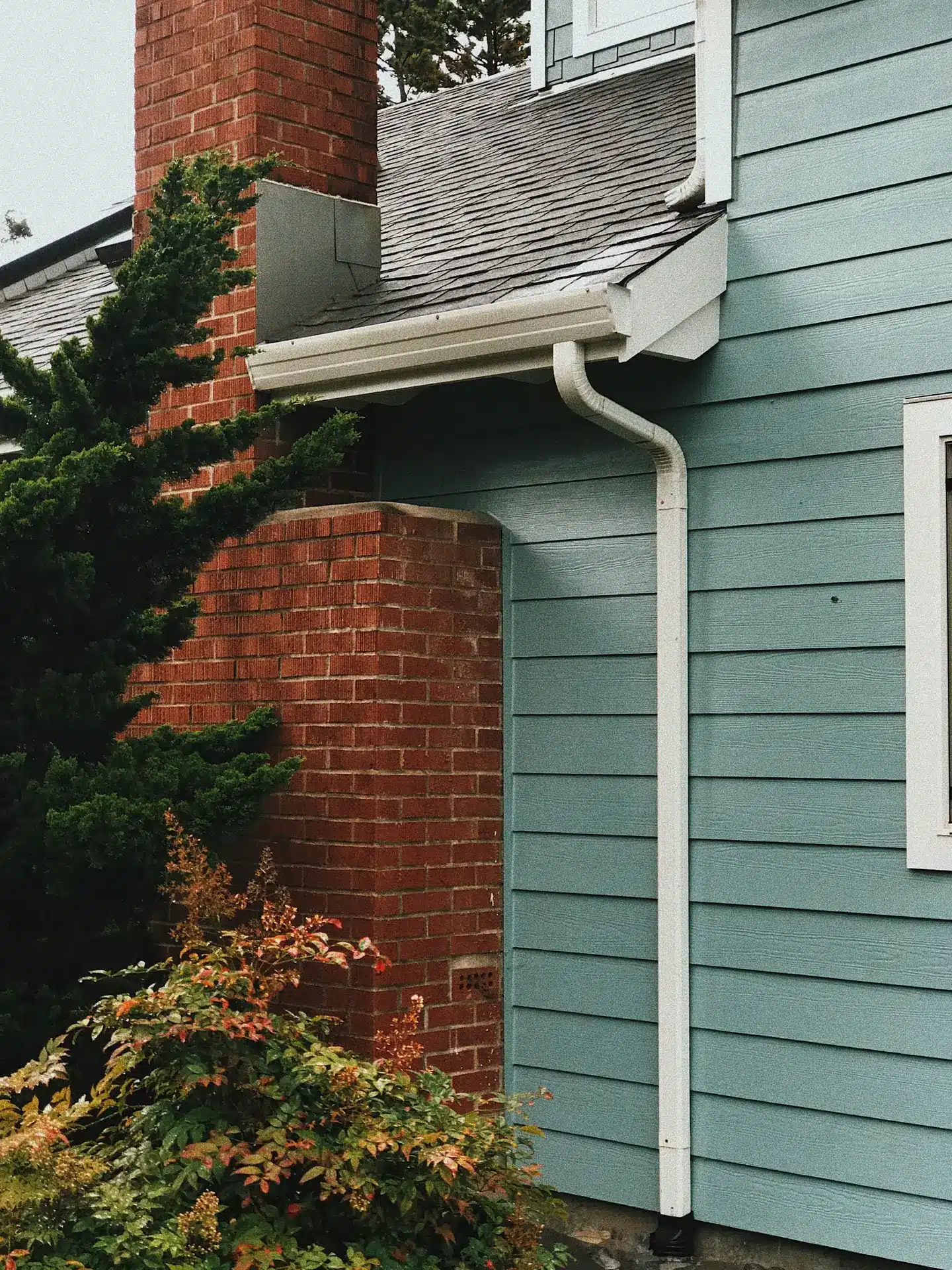 gutter maintenance