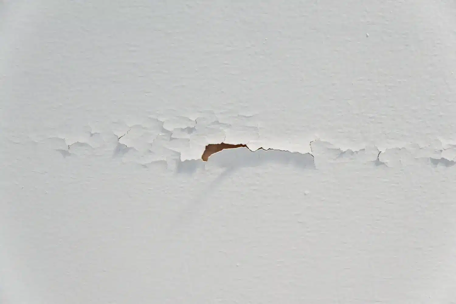 Peeling exterior paint discovered during a siding inspection checklist, indicating aging materials and the need for replacement siding.