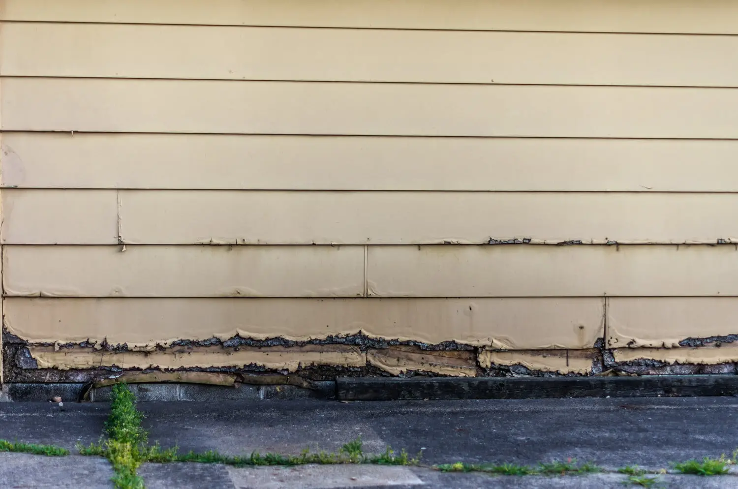 Damaged siding with visible rot found during a siding inspection checklist, highlighting the need for immediate exterior repairs.
