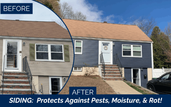 Side-by-side view of a house before and after a Vinyl Siding Installation project in Braintree MA. The left shows old, beige siding; the right displays fresh, blue siding with enhanced curb appeal. Text reads: SIDING: Protects Against Pests, Moisture, & Rot!.