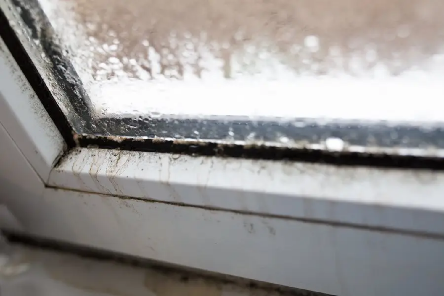 Mold and moisture around a foggy window illustrating common signs your windows are failing in Bedford NH.