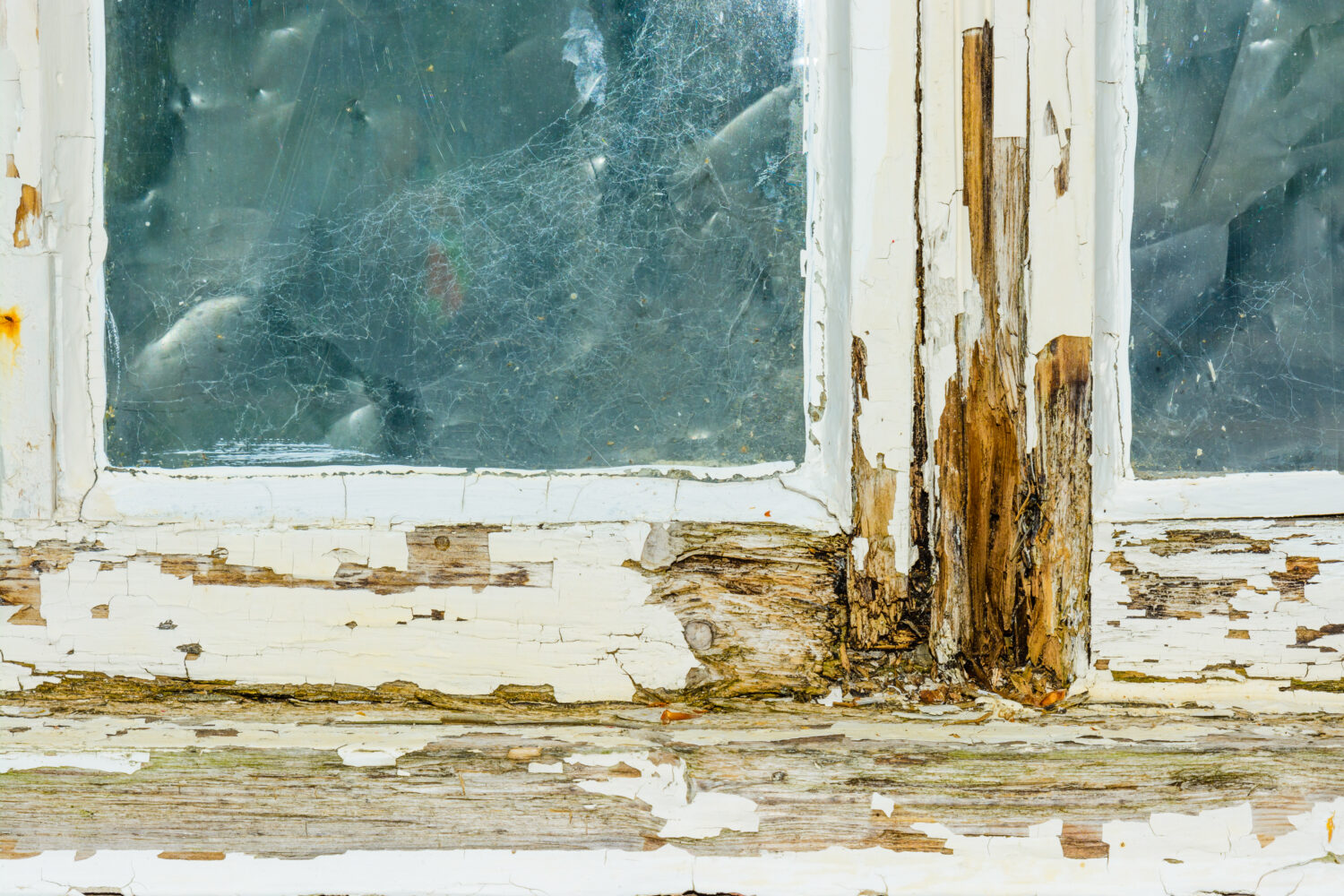 Old deteriorating wood window with rot and peeling paint showing clear signs your windows are failing.