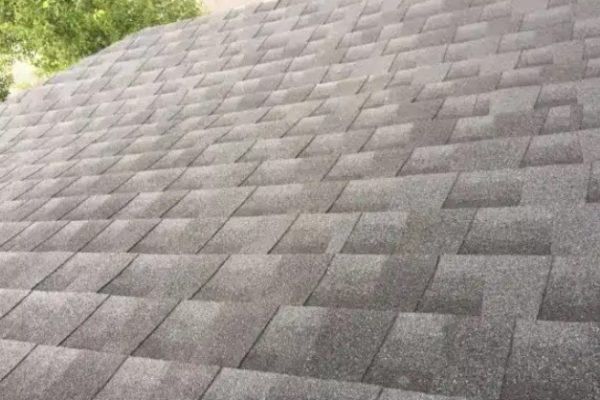 A close-up view of a house roof covered with dark gray asphalt shingles in a regular, overlapping pattern, expertly installed by a Roofing Company in Rowley MA. Green tree branches frame the scene in the upper left corner.