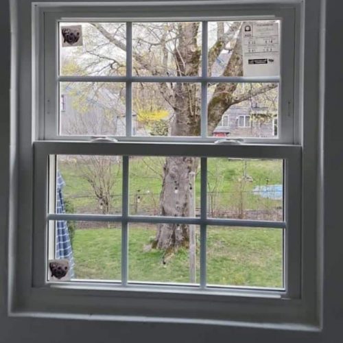 energy efficient windows in Massachusetts
