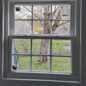 energy efficient windows in rowley ma